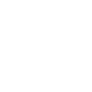 Guido De Vleeschouwer logo